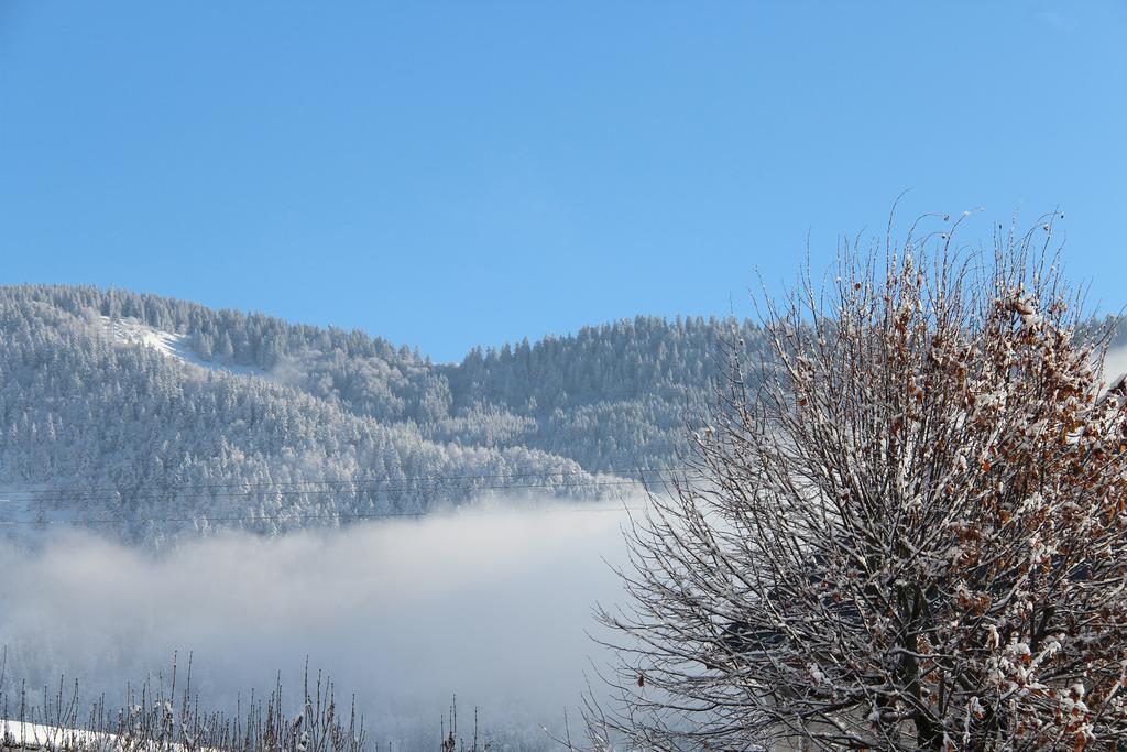 Hotel La Tapia Autrans-Meaudre-en-Vercors Exteriör bild